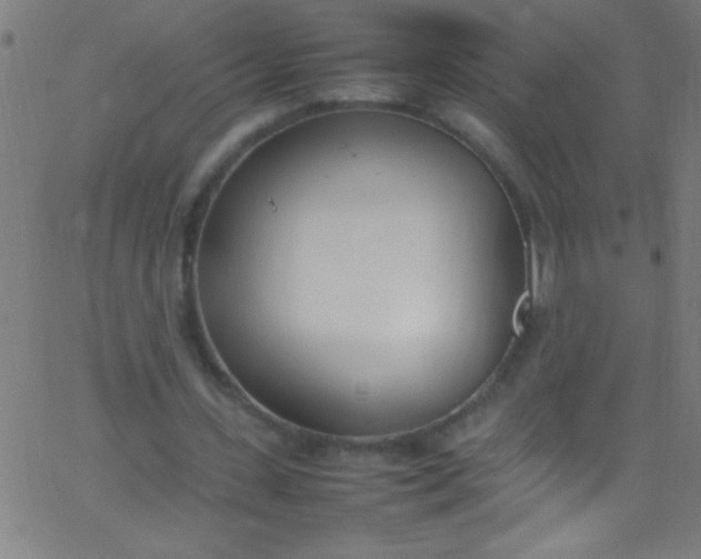 X0000067950531200604272102