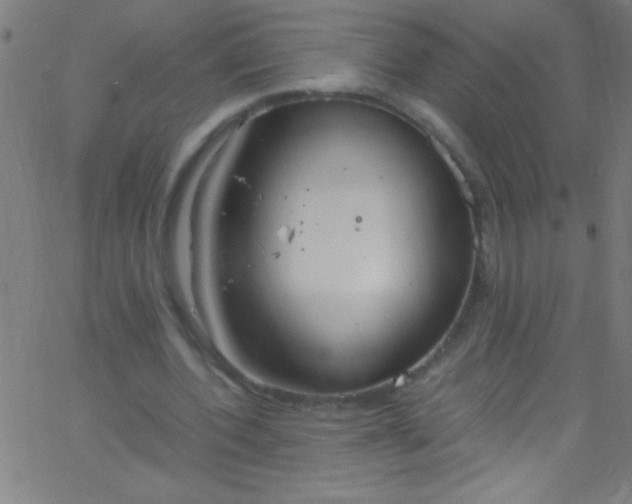 X0000067950532200604272102