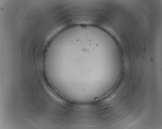 X0000067950533200604272102