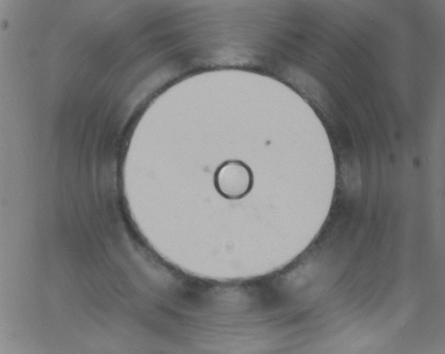 X0000067950534200604272102