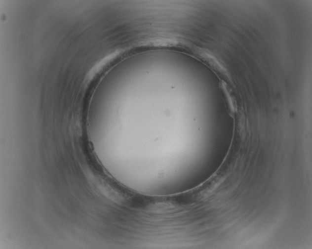 X0000067950536200604272102