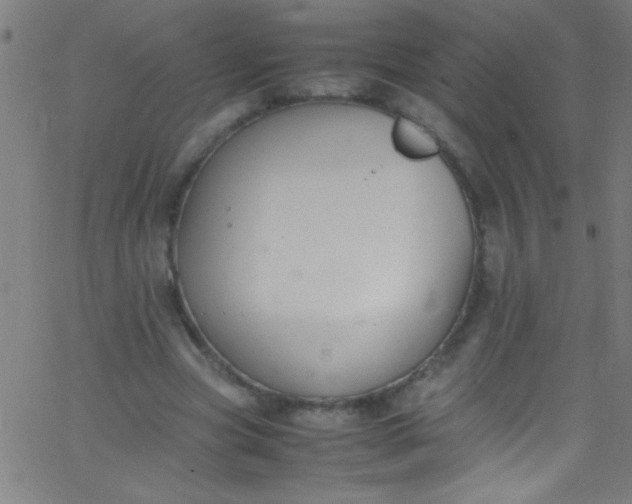 X0000067950537200604272102