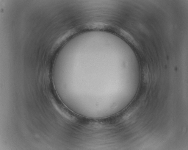 X0000067950538200604272102