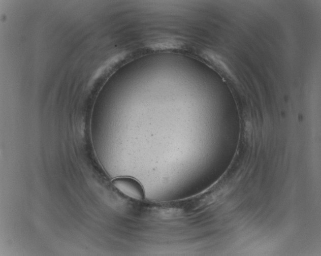 X0000067950539200604272102