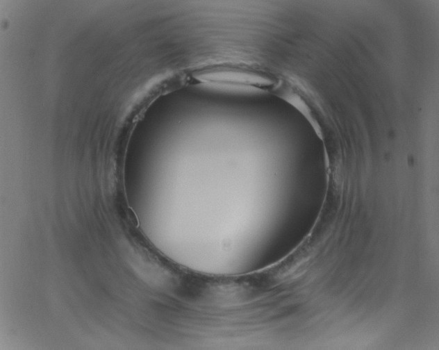 X0000067950540200604272102