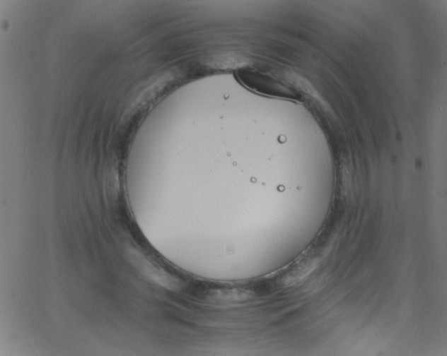 X0000067950541200604272102