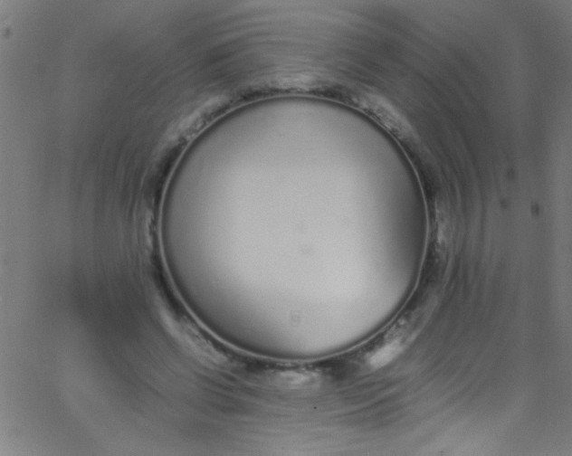 X0000067950542200604272102