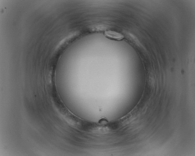 X0000067950543200604272102