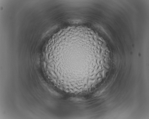 X0000067950545200604272102