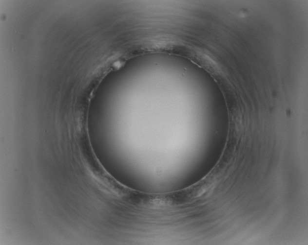 X0000067950546200604272102