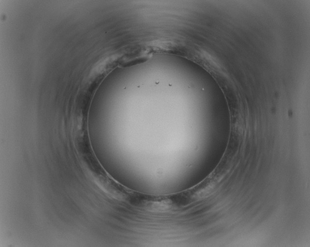 X0000067950548200604272102