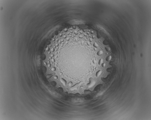 X0000067950549200604272102