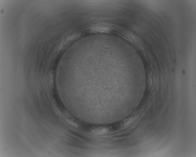 X0000067950551200604272102