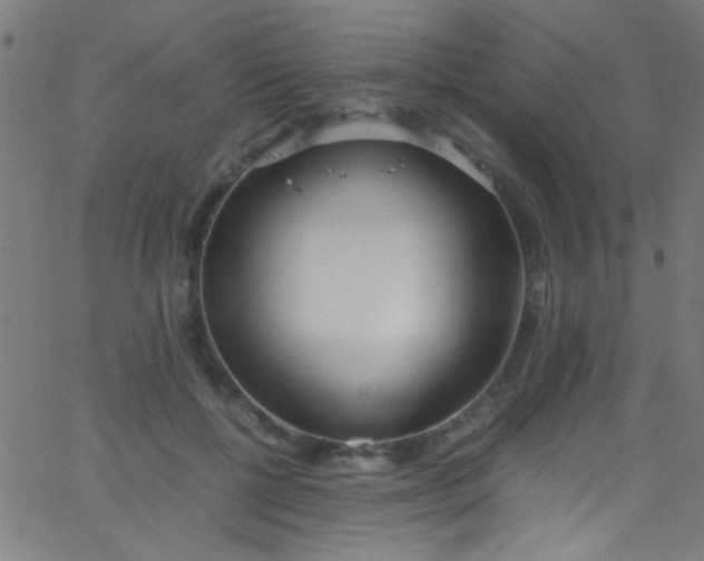 X0000067950552200604272102