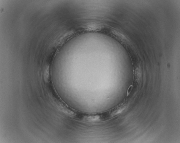 X0000067950554200604272102