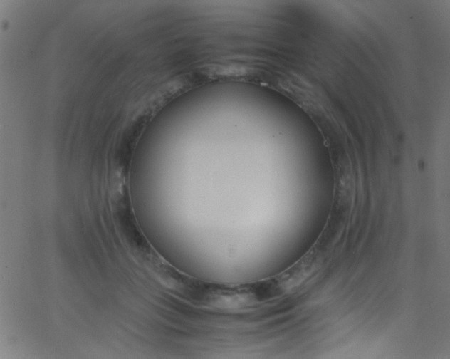 X0000067950555200604272102