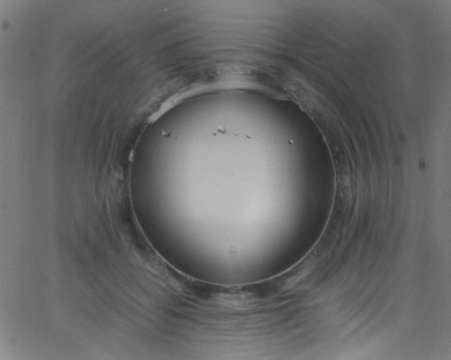 X0000067950556200604272102