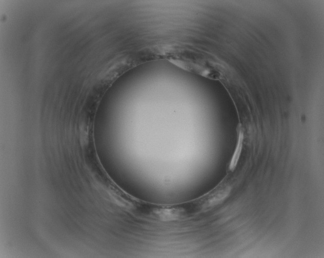 X0000067950558200604272102