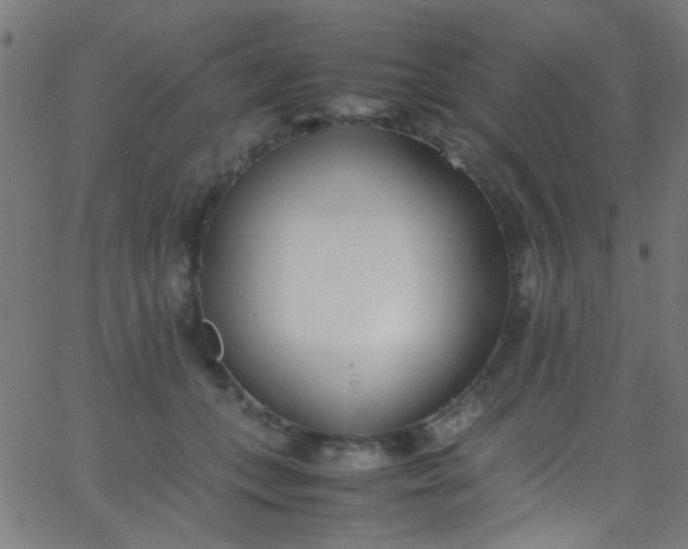 X0000067950559200604272102