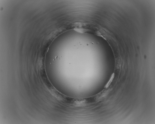 X0000067950560200604272102