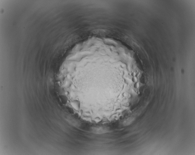 X0000067950561200604272102