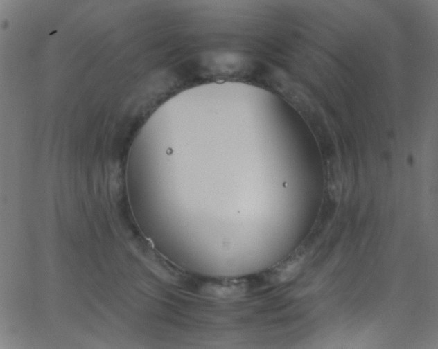 X0000067950563200604272102