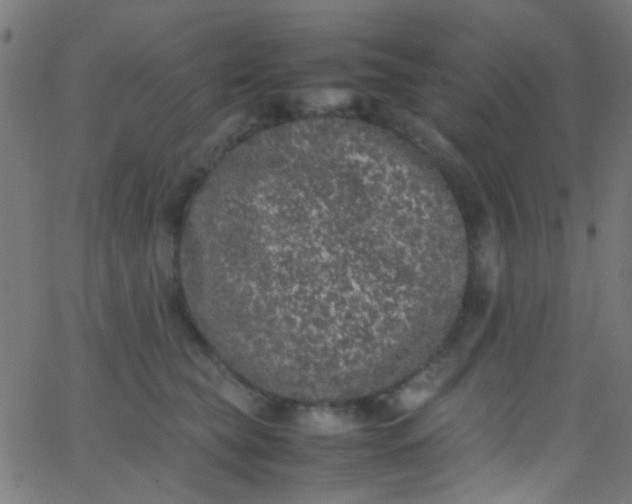 X0000067950565200604272102