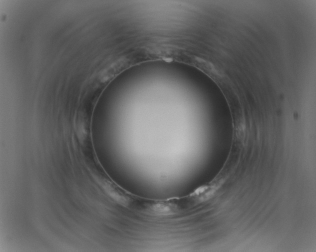 X0000067950566200604272102