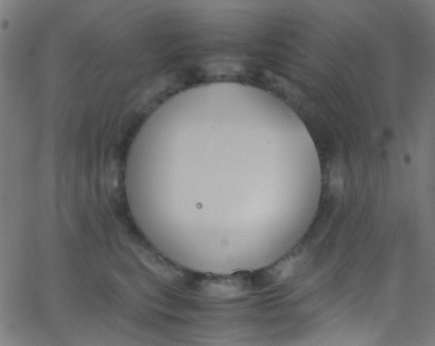 X0000067950567200604272102