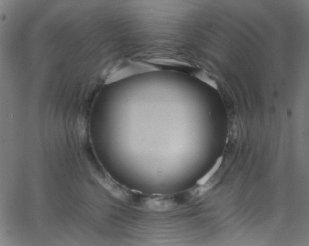 X0000067950568200604272102