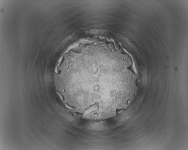 X0000067950569200604272102