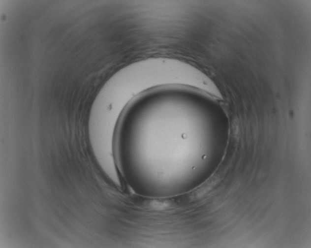 X0000067950570200604272102