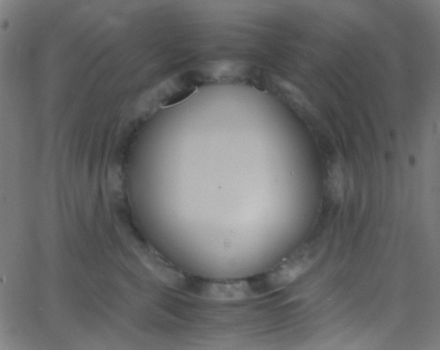 X0000067950571200604272102