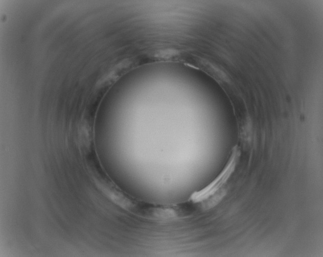 X0000067950572200604272102