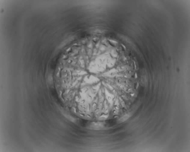 X0000067950573200604272102