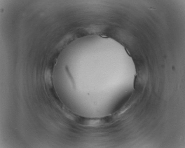 X0000067950575200604272102