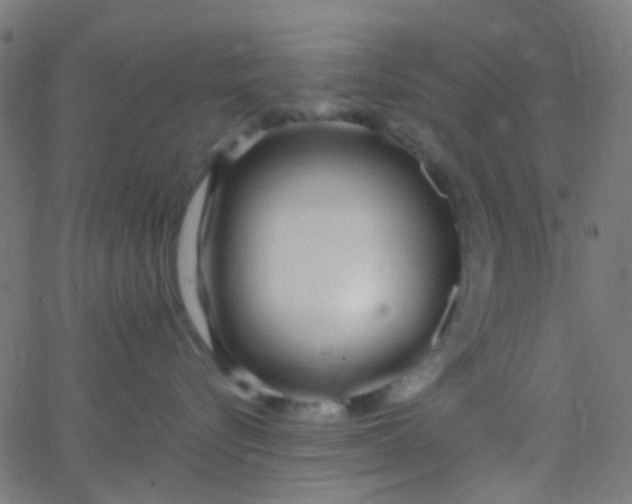 X0000067950576200604272102