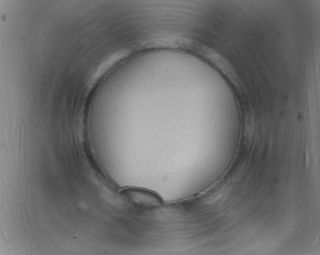 X0000067950578200604272102