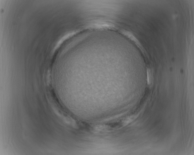 X0000067950579200604272102