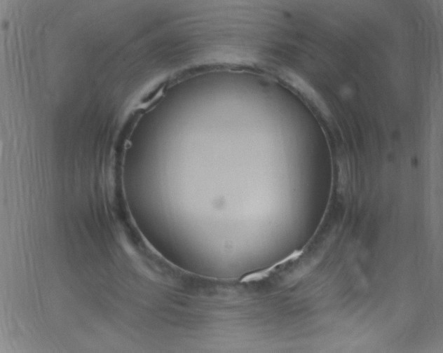 X0000067950580200604272101