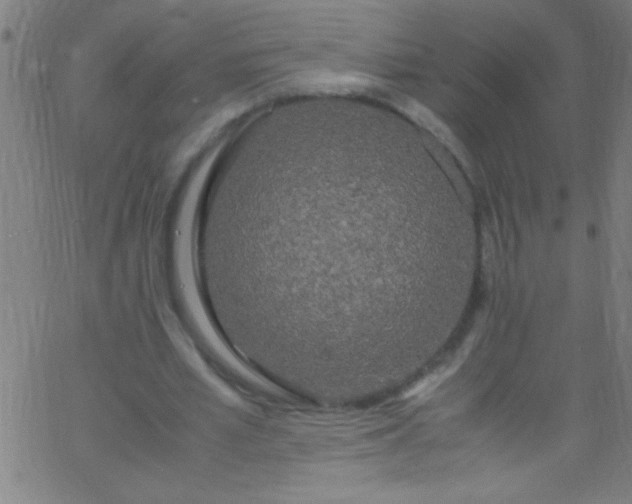 X0000067950581200604272101