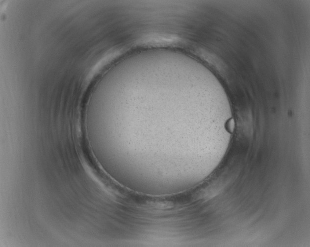 X0000067950582200604272101