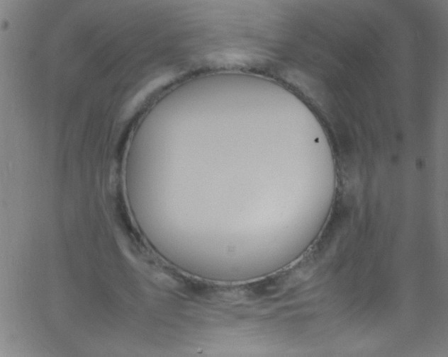 X0000067950583200604272101