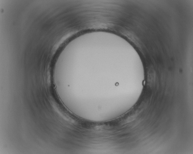 X0000067950584200604272101