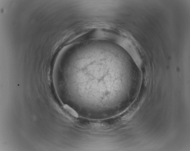 X0000067950585200604272101