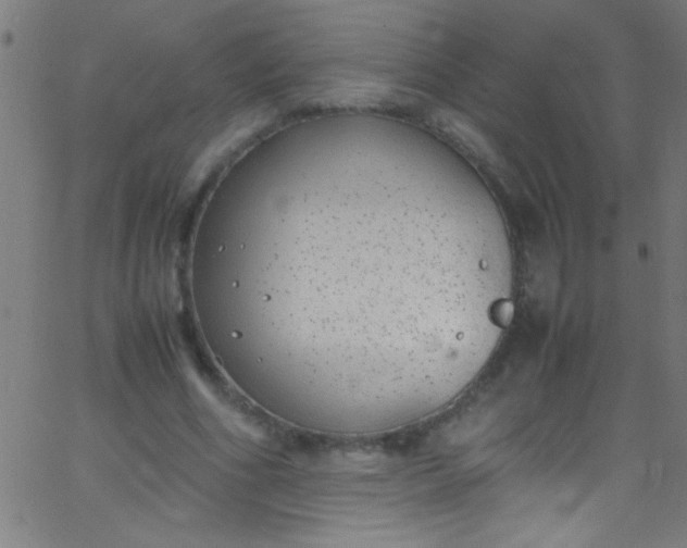 X0000067950586200604272101