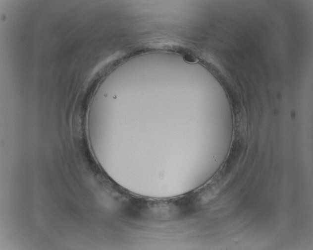 X0000067950587200604272101