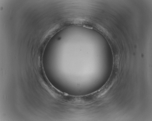 X0000067950589200604272101