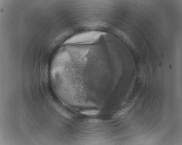 X0000067950590200604272101