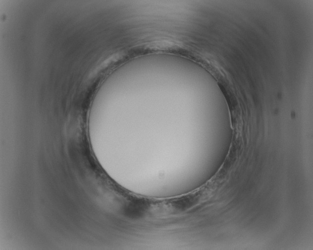 X0000067950591200604272101